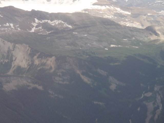 p8144077.jpg
