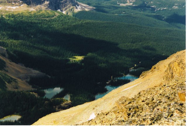 scan006.jpg