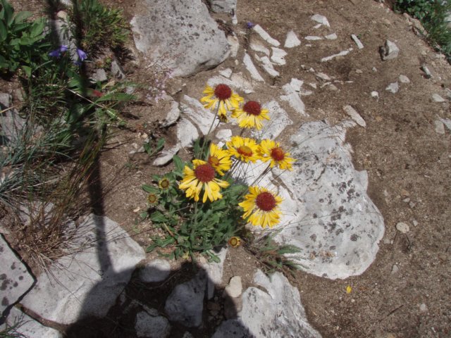 p8092981.jpg