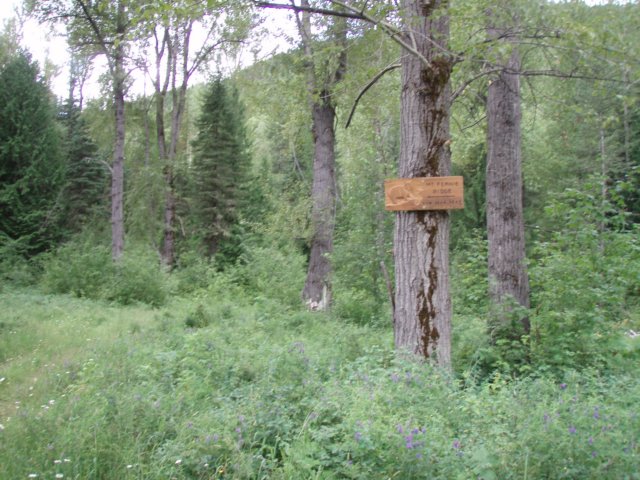 p8092994.jpg