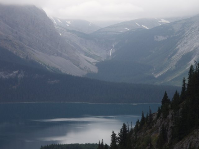 p9134197.jpg
