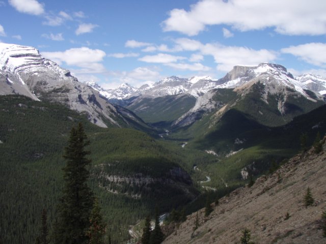 p6140434.jpg