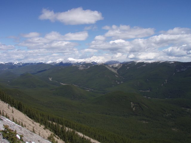 p6140441.jpg