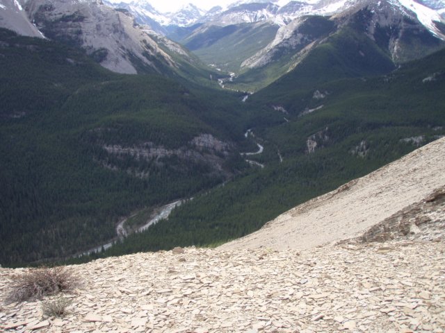 p6140457.jpg