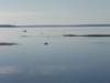 p7226140_small.jpg