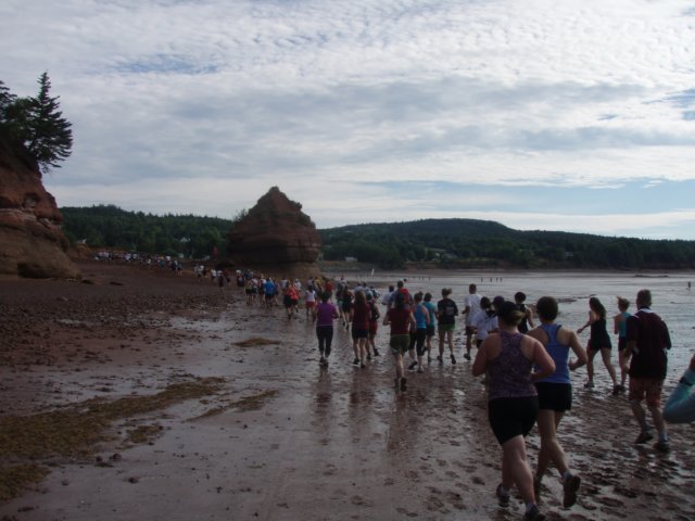 p7226143.jpg