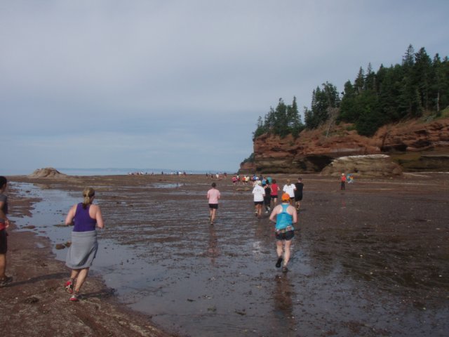 p7226147.jpg