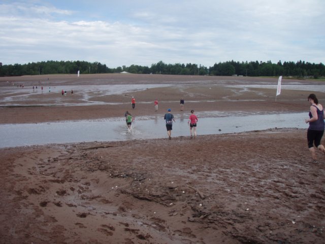 p7226165.jpg