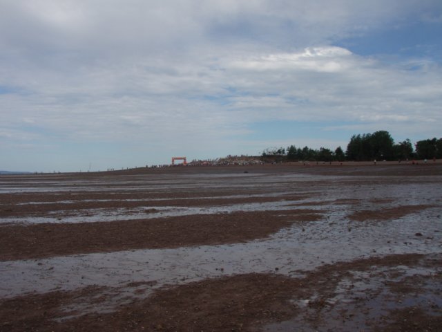 p7226167.jpg