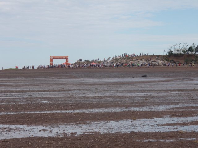 p7226168.jpg