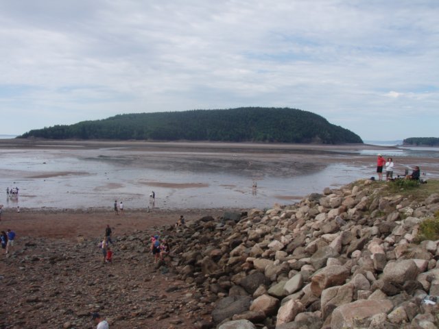 p7226171.jpg
