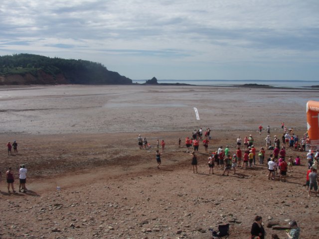 p7226176.jpg