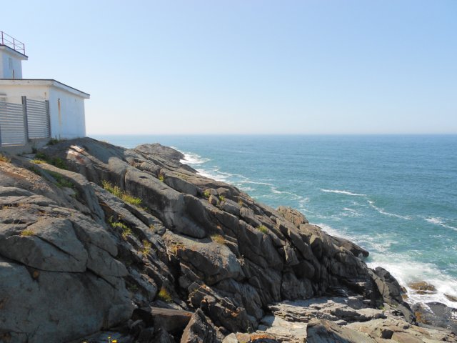 dscn0487.jpg