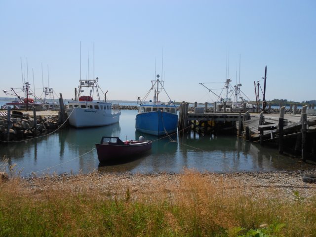 dscn0491.jpg
