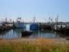 dscn0491_small.jpg