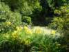 dscn0511_small.jpg