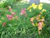dscn0514_small.jpg