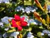 dscn0515_small.jpg