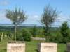 dscn0518_small.jpg