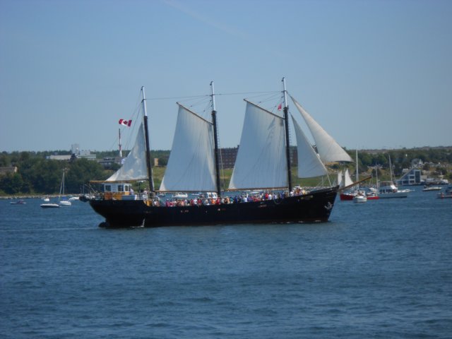 dscn0590.jpg