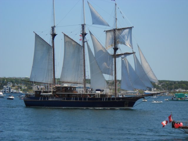 dscn0602.jpg