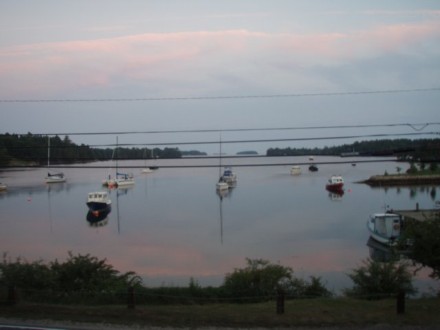 p7145856.jpg