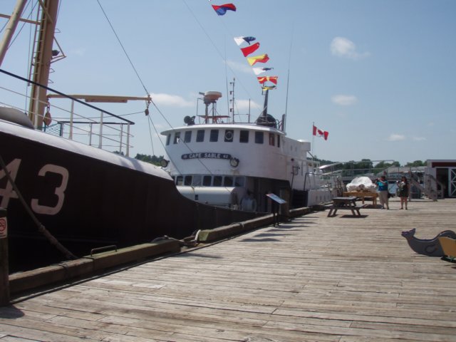 p7155864.jpg