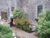p7175876_small.jpg