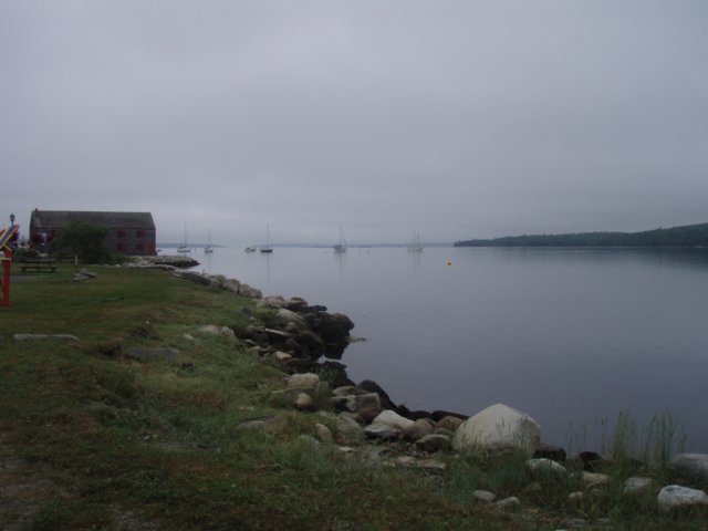 p7175881.jpg
