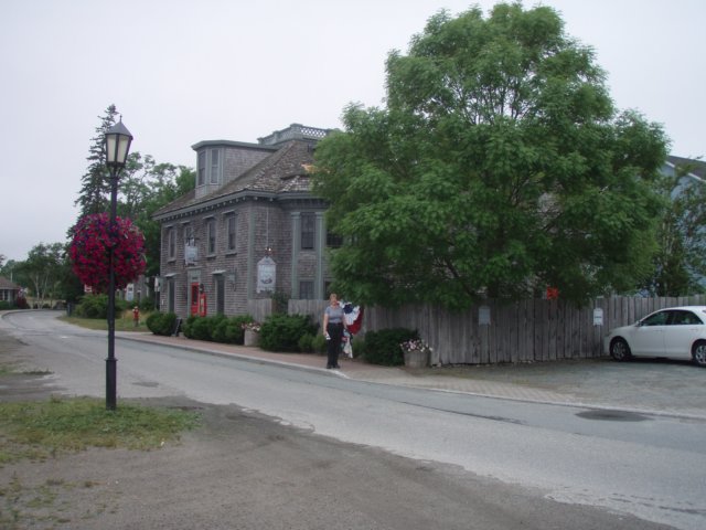 p7175883.jpg