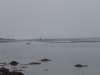 p7175884_small.jpg