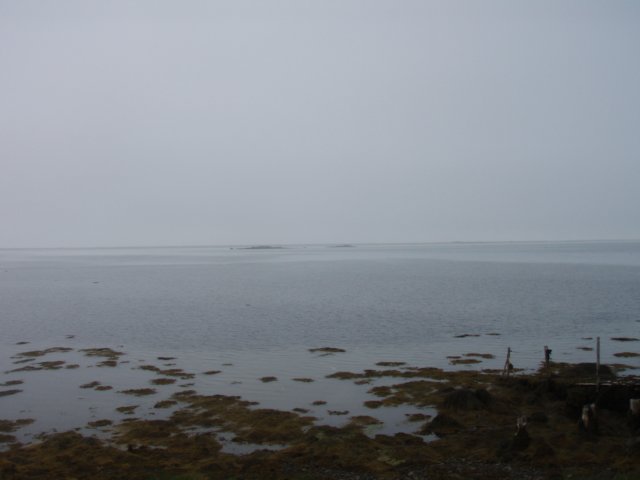 p7175885.jpg