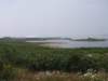 p7175886_small.jpg