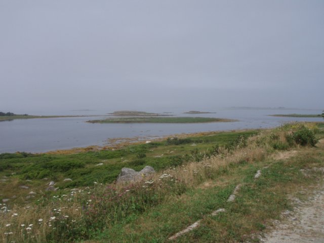 p7175887.jpg
