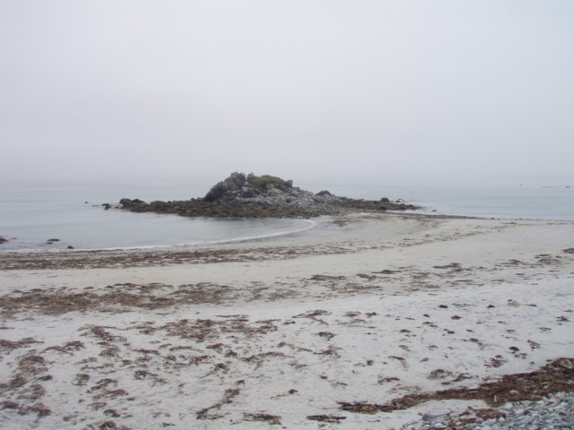 p7175890.jpg