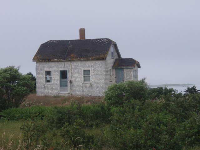 p7175893.jpg