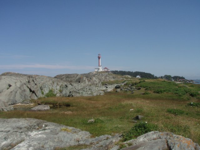 p7185936.jpg