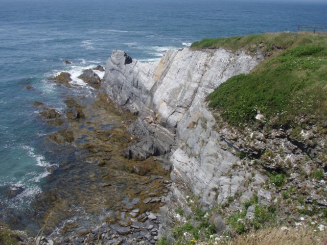 p7185941.jpg