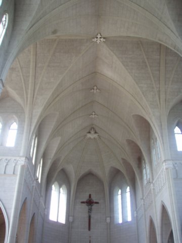 p7185977.jpg
