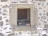 p7196028_small.jpg