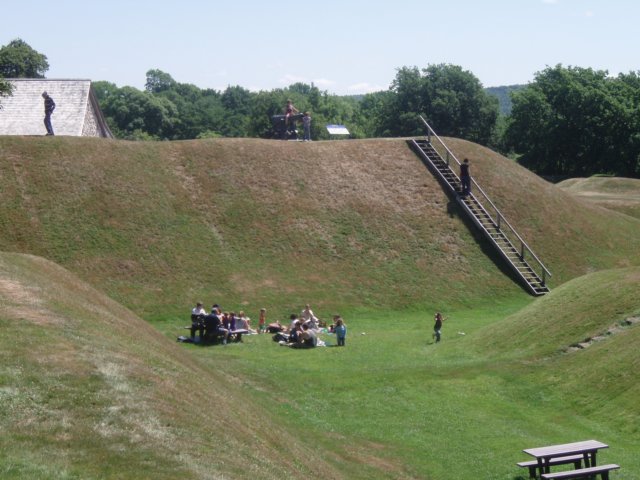 p7196034.jpg