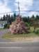 p7196055_small.jpg