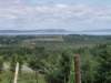p7206065_small.jpg