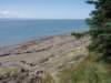 p7216076_small.jpg