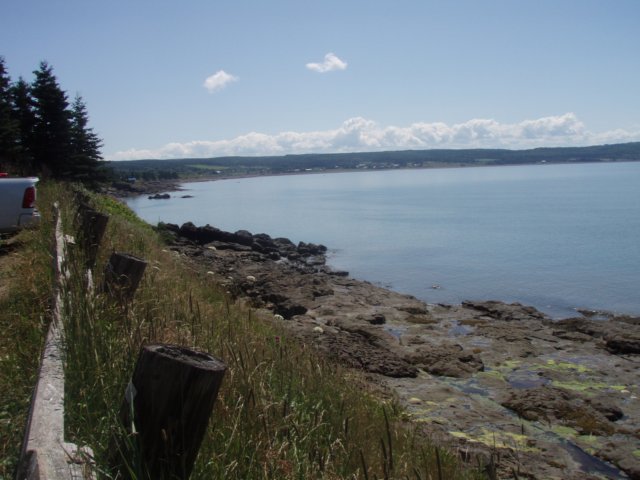 p7216077.jpg