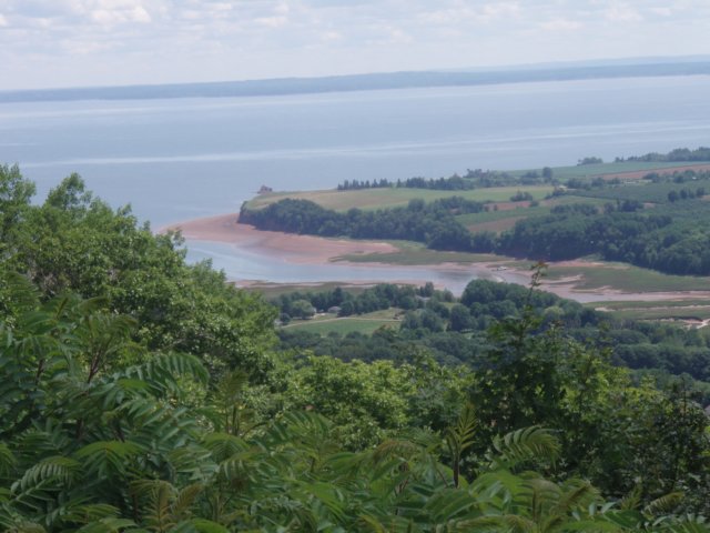 p7216082.jpg