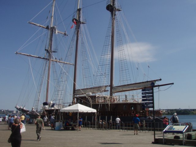 p7236192.jpg