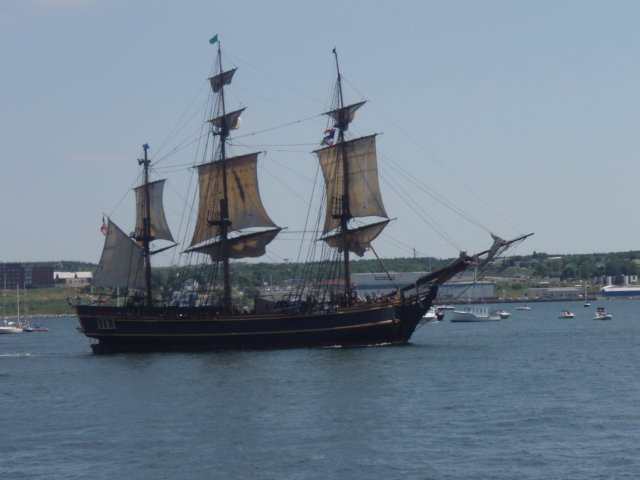 p7236201.jpg