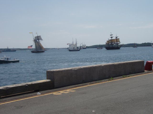 p7236202.jpg