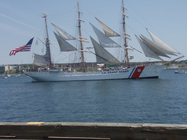 p7236204.jpg